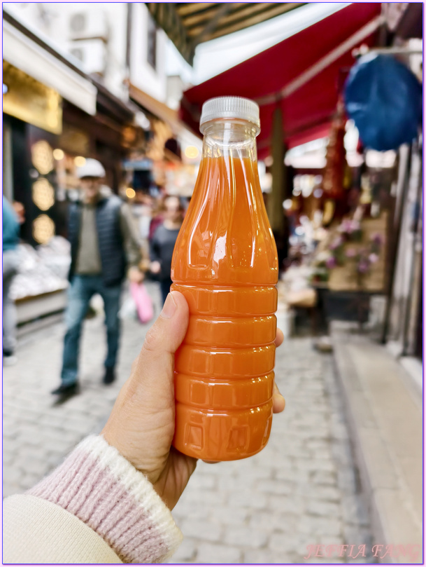 土耳其Turkiye,土耳其旅遊,安卡拉ANKARA,安納托利亞Anatolia,胡蘿蔔小鎮,貝伊帕扎勒Beypazari