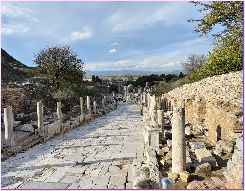 Ephesus Ancient City,以佛所遺址,伊茲密爾Izmir,土耳其Turkiye,土耳其旅遊,塞爾丘克鎮seluck