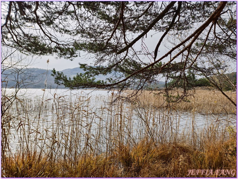 伯魯Bollu,土耳其Turkiye,安卡拉ANKARA,阿邦特湖自然國家公園Abant National Park