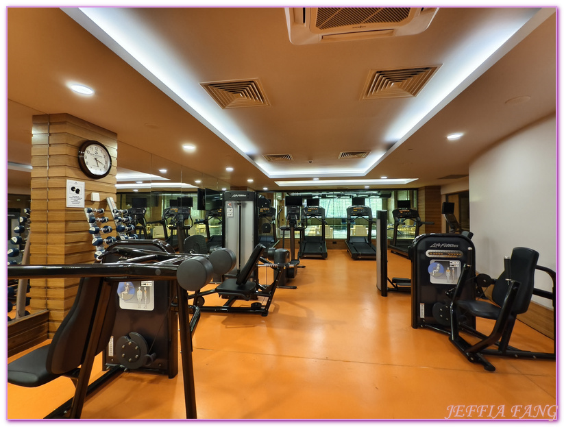 土耳其Turkiye,土耳其旅遊,孔亞Konya,孔亞山丘鑽石酒店及會議中心 Bayır Diamond Hotel & Convention Center Konya,孔亞飯店