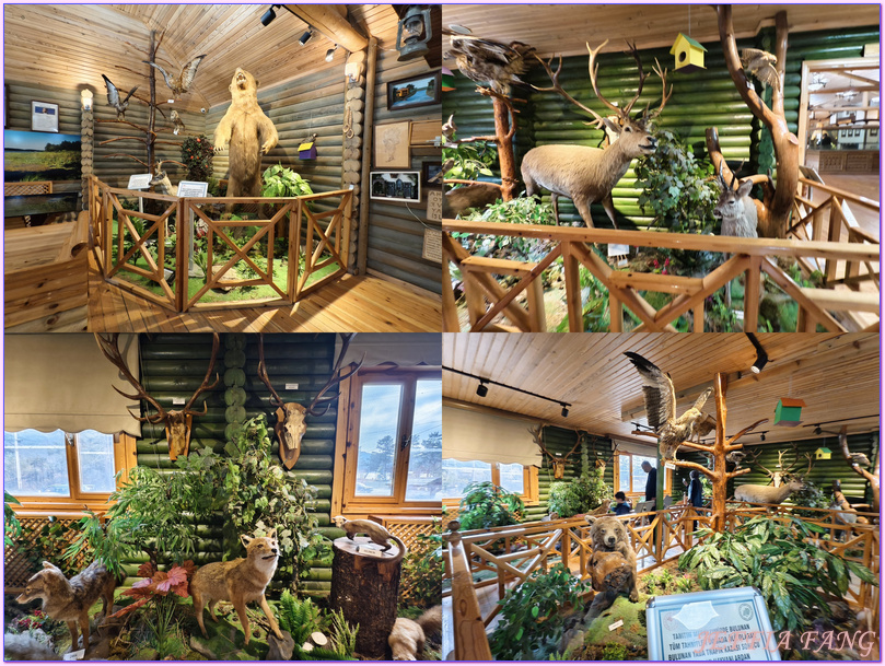 伯魯Bollu,土耳其Turkiye,安卡拉ANKARA,阿邦特湖自然國家公園Abant National Park