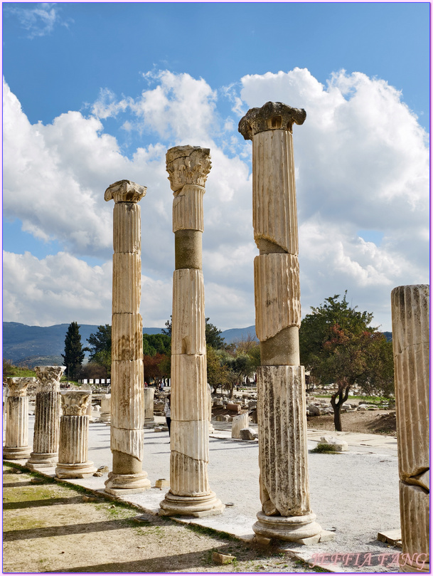 Ephesus Ancient City,以佛所遺址,伊茲密爾Izmir,土耳其Turkiye,土耳其旅遊,塞爾丘克鎮seluck