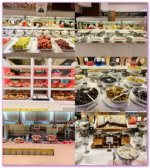 土耳其Turkiye,土耳其旅遊,孔亞Konya,孔亞山丘鑽石酒店及會議中心 Bayır Diamond Hotel & Convention Center Konya,孔亞飯店