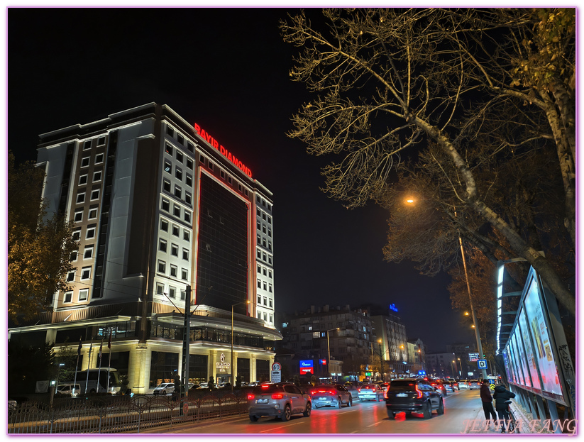 土耳其Turkiye,土耳其旅遊,孔亞Konya,孔亞山丘鑽石酒店及會議中心 Bayır Diamond Hotel & Convention Center Konya,孔亞飯店