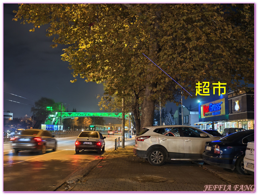 土耳其Turkiye,土耳其旅遊,孔亞Konya,孔亞山丘鑽石酒店及會議中心 Bayır Diamond Hotel & Convention Center Konya,孔亞飯店