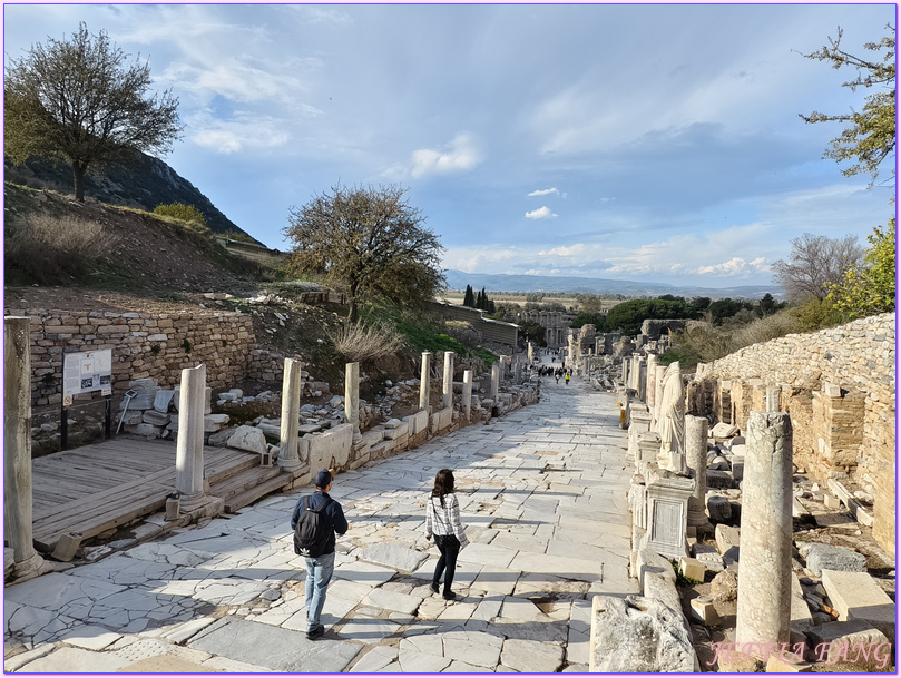 Ephesus Ancient City,以佛所遺址,伊茲密爾Izmir,土耳其Turkiye,土耳其旅遊,塞爾丘克鎮seluck