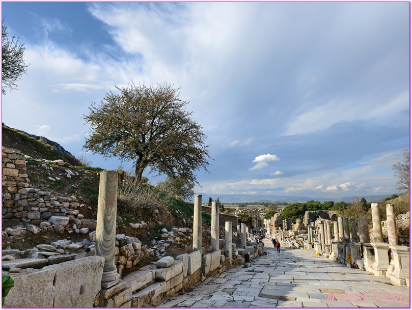 Ephesus Ancient City,以佛所遺址,伊茲密爾Izmir,土耳其Turkiye,土耳其旅遊,塞爾丘克鎮seluck