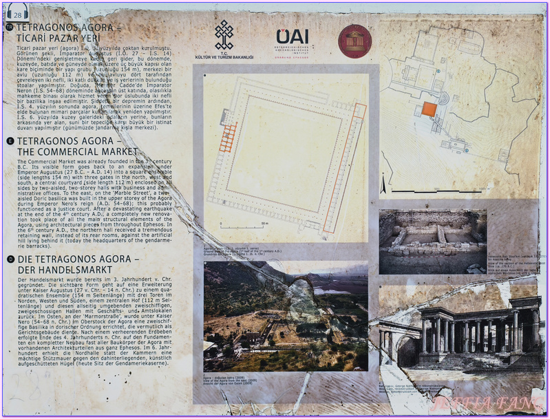 Ephesus Ancient City,以佛所遺址,伊茲密爾Izmir,土耳其Turkiye,土耳其旅遊,塞爾丘克鎮seluck