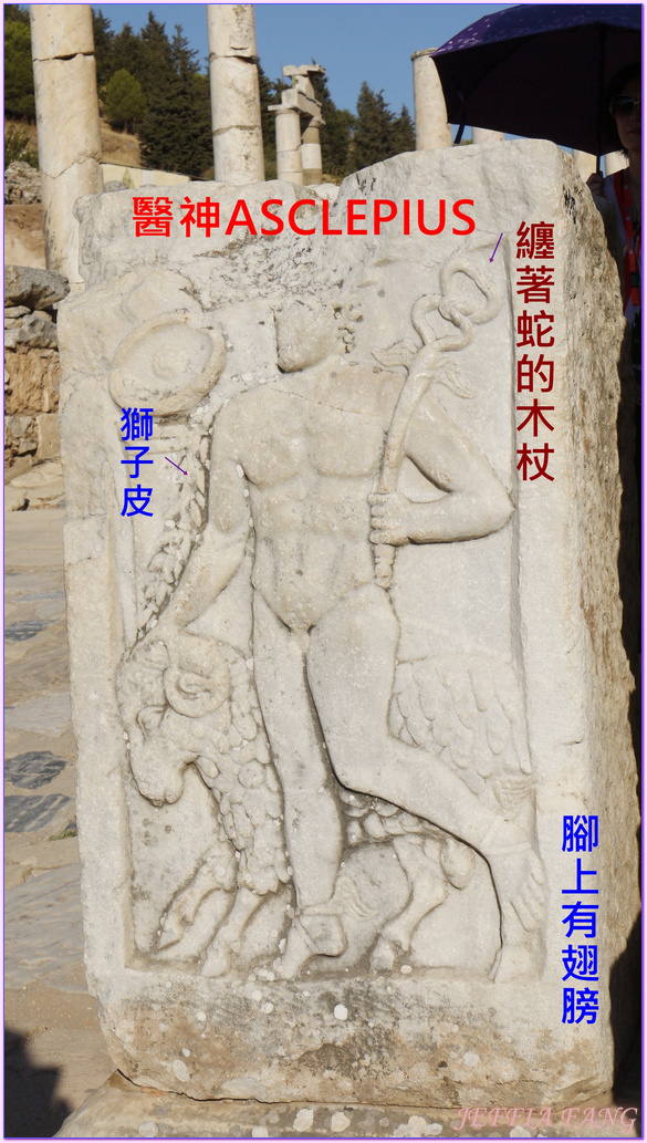 Ephesus Ancient City,以佛所遺址,伊茲密爾Izmir,土耳其Turkiye,土耳其旅遊,塞爾丘克鎮seluck