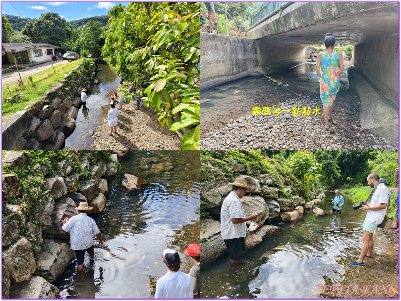 保羅高更號郵輪Paul Gauguin Cruises,大溪地Tahiti,法屬玻里尼西亞FrenchPolynesia,社會群島Society Islands,胡阿希內島Huahine