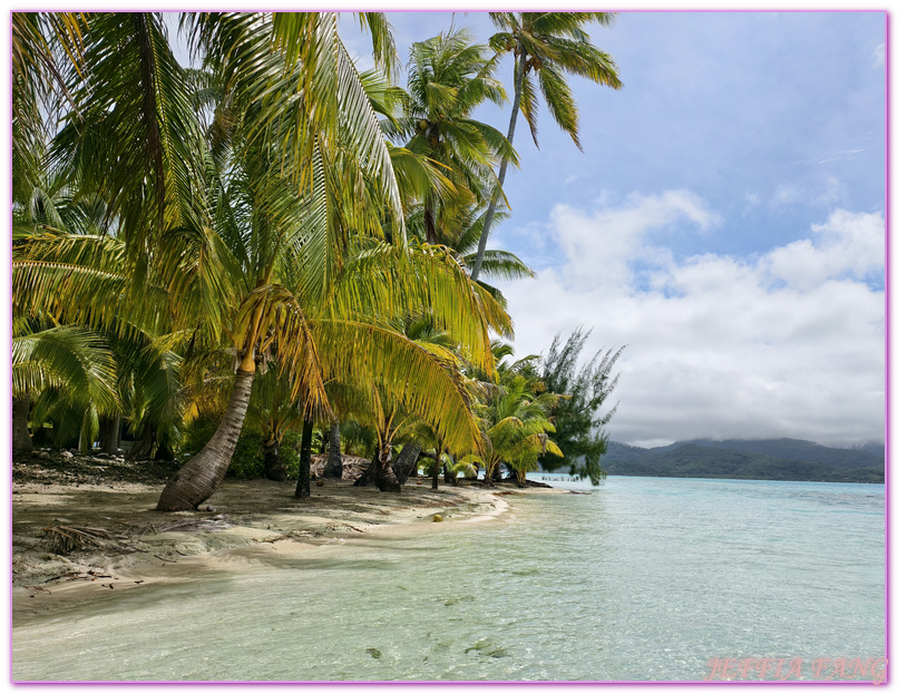 保羅高更號郵輪Paul Gauguin Cruises,塔哈阿島Taha'a,大溪地Tahiti,大溪地香草,大溪地黑珍珠養殖場Tahitian Black Pearl Farming,法屬玻里尼西亞FrenchPolynesia,社會群島Society Islands,若伊亞提島Raiatea,龐洛PONANT郵輪 保羅高更號郵輪Paul Gauguin Cruises,塔哈阿島Taha'a,大溪地Tahiti,大溪地香草,大溪地黑珍珠養殖場Tahitian Black Pearl Farming,法屬玻里尼西亞FrenchPolynesia,社會群島Society Islands,若伊亞提島Raiatea,龐洛PONANT郵輪