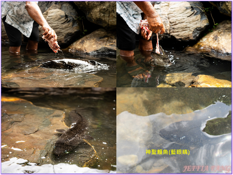 保羅高更號郵輪Paul Gauguin Cruises,大溪地Tahiti,法屬玻里尼西亞FrenchPolynesia,社會群島Society Islands,胡阿希內島Huahine