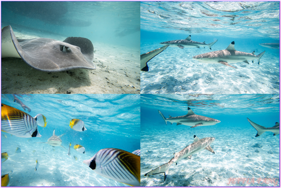 保羅高更號郵輪Paul Gauguin Cruises,大溪地Tahiti,法屬玻里尼西亞FrenchPolynesia,波拉波拉島Bora Bora,龐洛PONANT郵輪