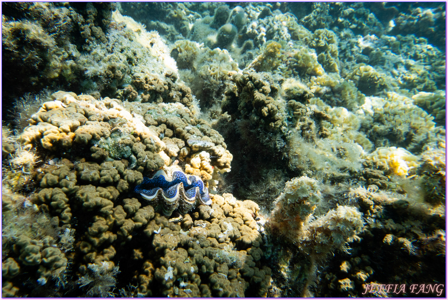 保羅高更號郵輪Paul Gauguin Cruises,大溪地Tahiti,法屬玻里尼西亞FrenchPolynesia,波拉波拉島Bora Bora,龐洛PONANT郵輪 保羅高更號郵輪Paul Gauguin Cruises,大溪地Tahiti,法屬玻里尼西亞FrenchPolynesia,波拉波拉島Bora Bora,龐洛PONANT郵輪