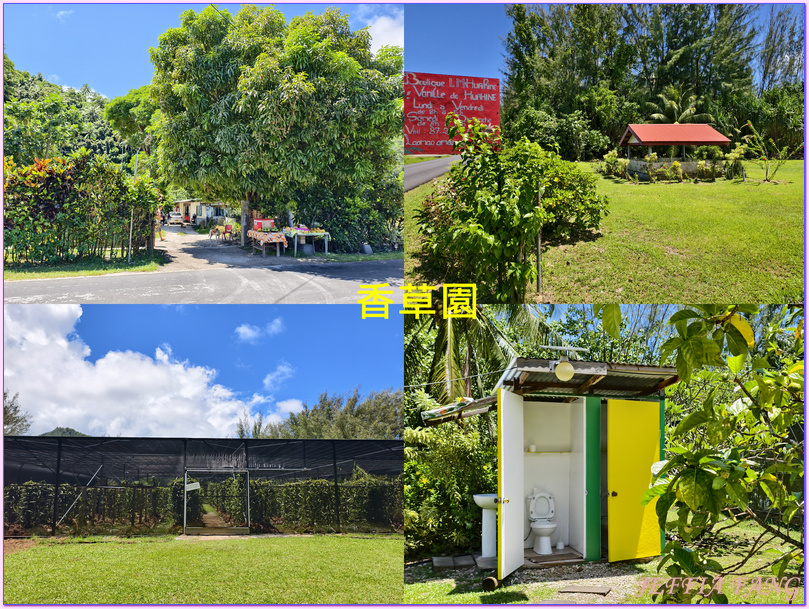 保羅高更號郵輪Paul Gauguin Cruises,大溪地Tahiti,法屬玻里尼西亞FrenchPolynesia,社會群島Society Islands,胡阿希內島Huahine