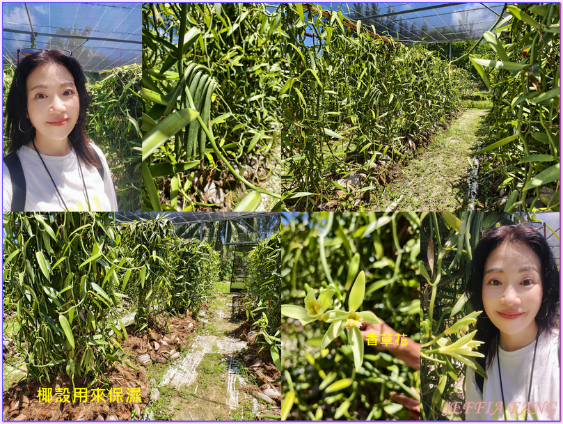 保羅高更號郵輪Paul Gauguin Cruises,大溪地Tahiti,法屬玻里尼西亞FrenchPolynesia,社會群島Society Islands,胡阿希內島Huahine