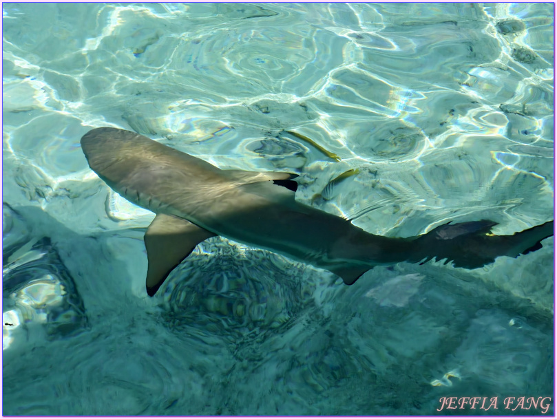 保羅高更號郵輪Paul Gauguin Cruises,大溪地Tahiti,法屬玻里尼西亞FrenchPolynesia,波拉波拉島Bora Bora,龐洛PONANT郵輪