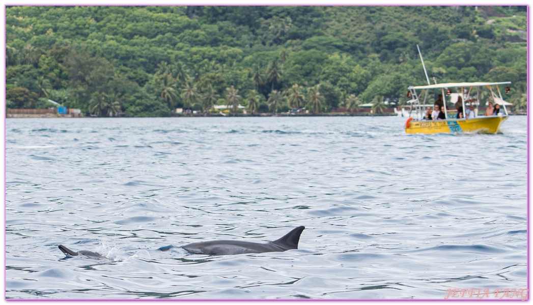保羅高更號郵輪Paul Gauguin Cruises,大溪地Tahiti,法屬玻里尼西亞FrenchPolynesia,社會群島Society Islands,茉莉亞島Moorea,龐洛PONANT郵輪