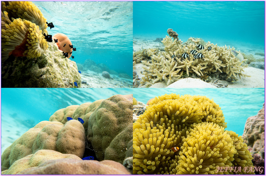 保羅高更號郵輪Paul Gauguin Cruises,塔哈阿島Taha'a,大溪地Tahiti,大溪地香草,大溪地黑珍珠養殖場Tahitian Black Pearl Farming,法屬玻里尼西亞FrenchPolynesia,社會群島Society Islands,若伊亞提島Raiatea,龐洛PONANT郵輪