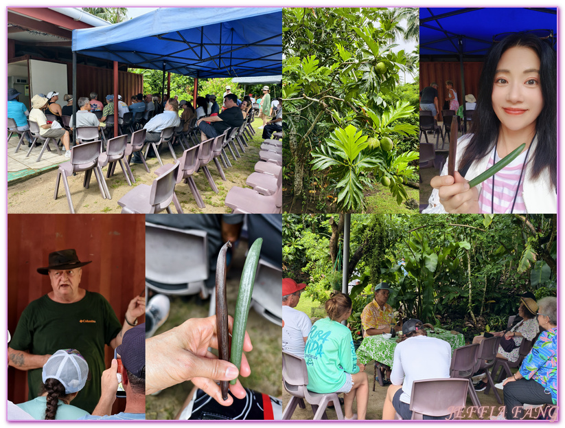 保羅高更號郵輪Paul Gauguin Cruises,塔哈阿島Taha'a,大溪地Tahiti,大溪地香草,大溪地黑珍珠養殖場Tahitian Black Pearl Farming,法屬玻里尼西亞FrenchPolynesia,社會群島Society Islands,若伊亞提島Raiatea,龐洛PONANT郵輪