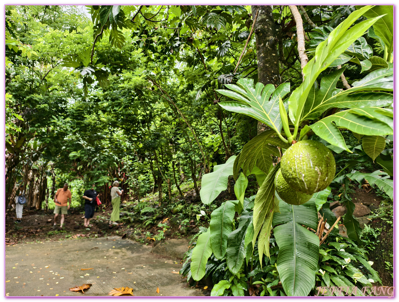 保羅高更號郵輪Paul Gauguin Cruises,塔哈阿島Taha'a,大溪地Tahiti,大溪地香草,大溪地黑珍珠養殖場Tahitian Black Pearl Farming,法屬玻里尼西亞FrenchPolynesia,社會群島Society Islands,若伊亞提島Raiatea,龐洛PONANT郵輪 保羅高更號郵輪Paul Gauguin Cruises,塔哈阿島Taha'a,大溪地Tahiti,大溪地香草,大溪地黑珍珠養殖場Tahitian Black Pearl Farming,法屬玻里尼西亞FrenchPolynesia,社會群島Society Islands,若伊亞提島Raiatea,龐洛PONANT郵輪
