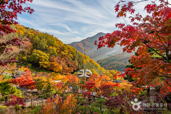 京畿道,韓國Korea旅遊,韓國世界文化遺產,韓國賞楓 京畿道,韓國Korea旅遊,韓國世界文化遺產,韓國賞楓
