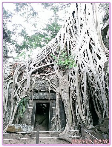 吳哥外圍遺址群,吳哥窟旅遊,塔普倫TA PROHM,柬埔寨,柬埔寨旅遊 @傑菲亞娃 JEFFIA FANG