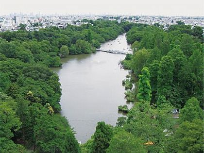 吉祥駛井頭恩賜公園,日本,日本旅遊,景點,東京自由行 @傑菲亞娃 JEFFIA FANG