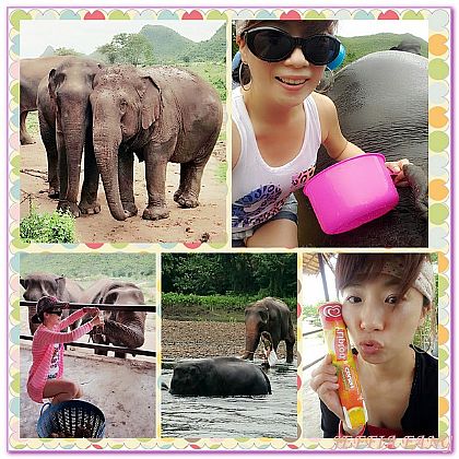 ELEPHANTS WORLD,北碧府,景點,泰國,泰國旅遊 @傑菲亞娃 JEFFIA FANG