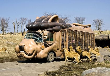 九州自然野生動物園,北九州大分縣,日本,日本旅遊,景點 @傑菲亞娃 JEFFIA FANG