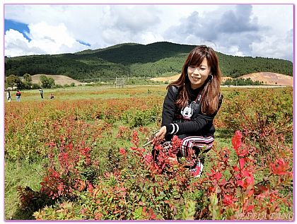 大陸,大陸旅遊,景點（世界遺產）,東方航空從台灣直飛麗江三義機場,雲南麗江 @傑菲亞娃 JEFFIA FANG