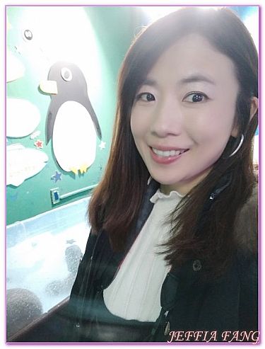 北海道,日本,日本旅遊,景點,稚內WAKKANAI寒流水族館 @傑菲亞娃 JEFFIA FANG