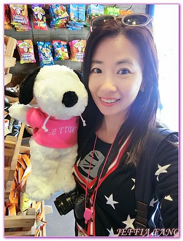 Knott's Berry Farm,加州橘郡,美國,美國旅遊,飯店/渡假村 @傑菲亞娃 JEFFIA FANG