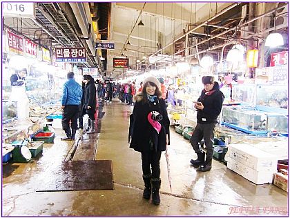 傳統市場/大賣場,韓國,韓國旅遊,韓國首爾自由行,首爾水產市場 @傑菲亞娃JEFFIA FANG